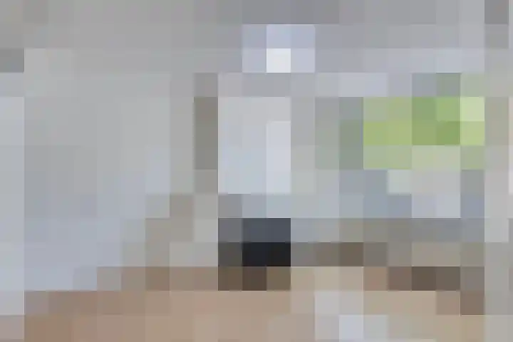 Dordtselaan 76 A 02 Rotterdam thumbnail 4