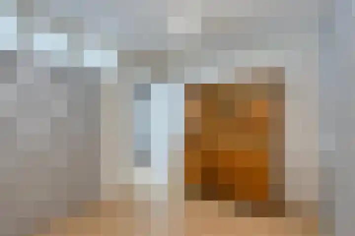 Dordtselaan 76 A 02 Rotterdam thumbnail 6