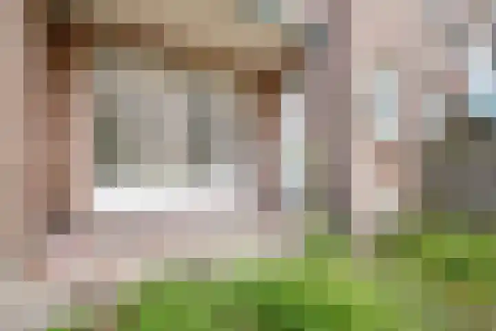 Dordtselaan 77 B Rotterdam thumbnail 10