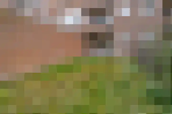 Dordtselaan 77 B Rotterdam thumbnail 11