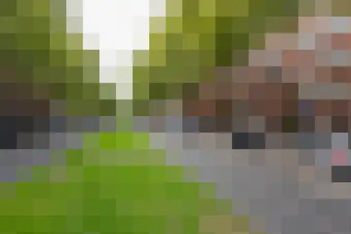 Dordtselaan 77 B Rotterdam thumbnail 20