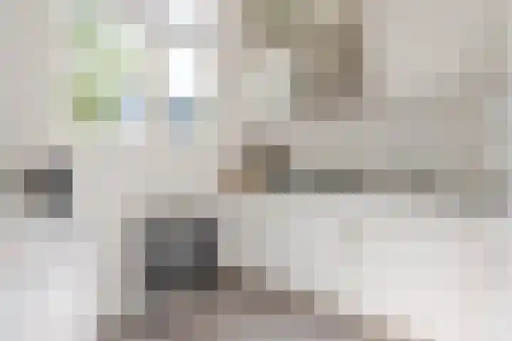 Dordtselaan 8 C 03 Rotterdam thumbnail 10