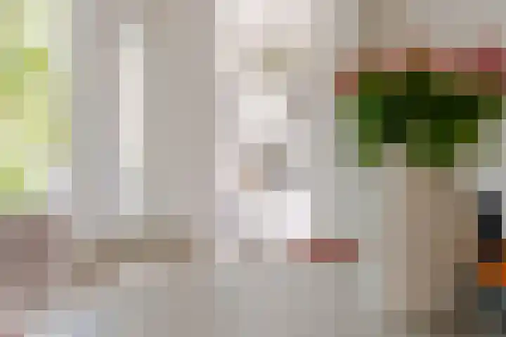Dordtselaan 8 C 03 Rotterdam thumbnail 14