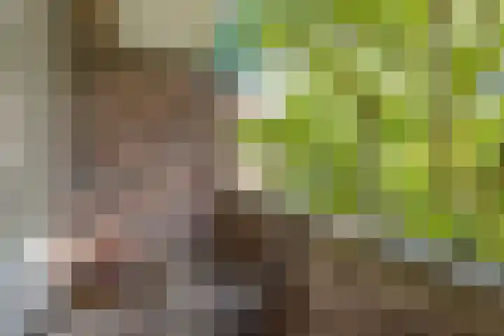 Dordtselaan 8 C 03 Rotterdam thumbnail 15