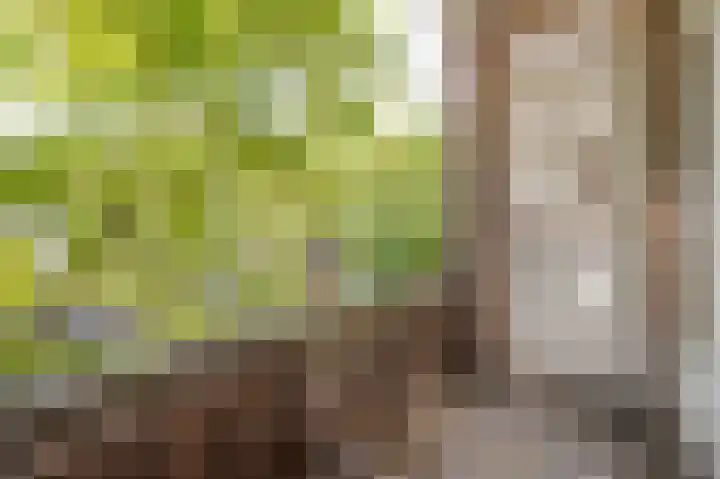 Dordtselaan 8 C 03 Rotterdam thumbnail 16