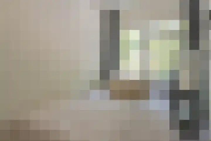 Dordtselaan 8 C 03 Rotterdam thumbnail 17