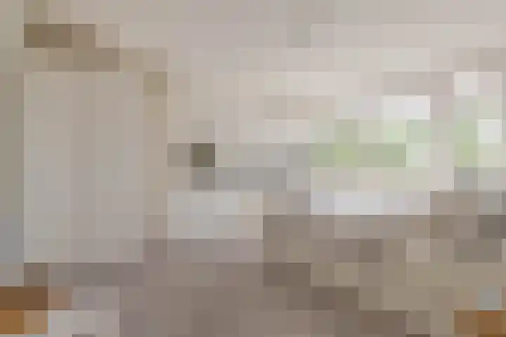 Dordtselaan 8 C 03 Rotterdam thumbnail 22