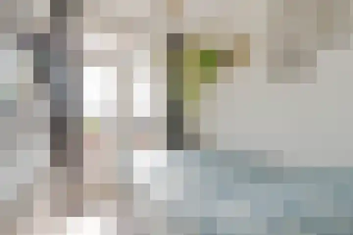 Dordtselaan 8 C 03 Rotterdam thumbnail 24