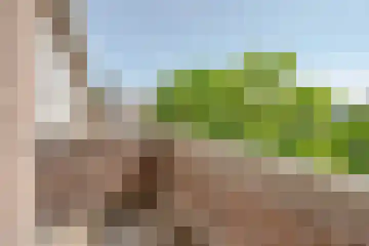 Dordtselaan 8 C 03 Rotterdam thumbnail 26