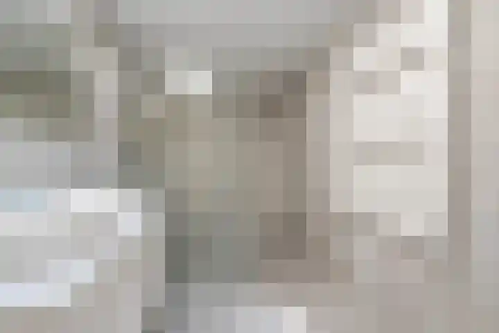 Dordtselaan 8 C 03 Rotterdam thumbnail 28