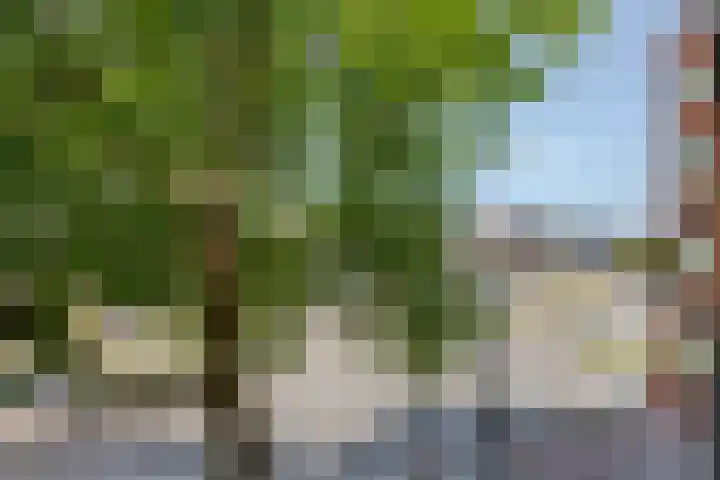 Dordtselaan 8 C 03 Rotterdam thumbnail 30