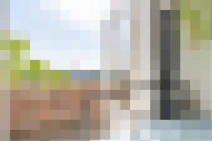 Dordtselaan 8 C 03 Rotterdam thumbnail 5