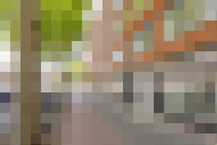 Dordtselaan 8 C 03 Rotterdam thumbnail 6