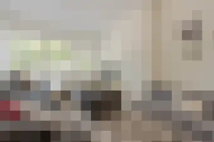 Dordtselaan 8 C 03 Rotterdam thumbnail 7