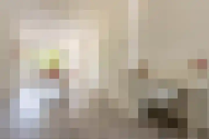 Dordtselaan 8 C 03 Rotterdam thumbnail 8