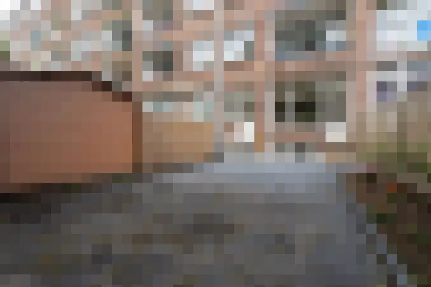 Dordtselaan 82 A Rotterdam thumbnail 28