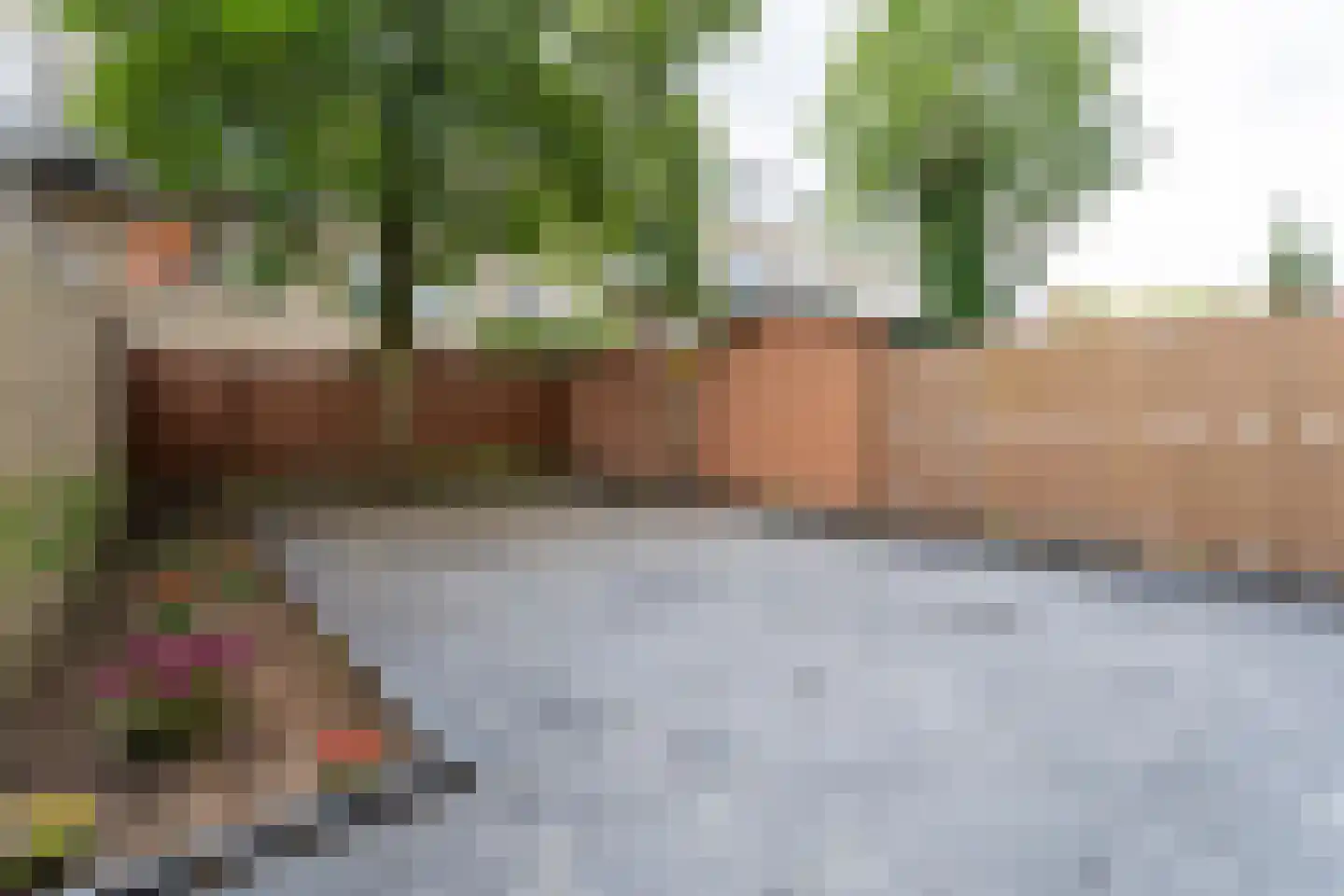 Dordtselaan 82 A Rotterdam thumbnail 4