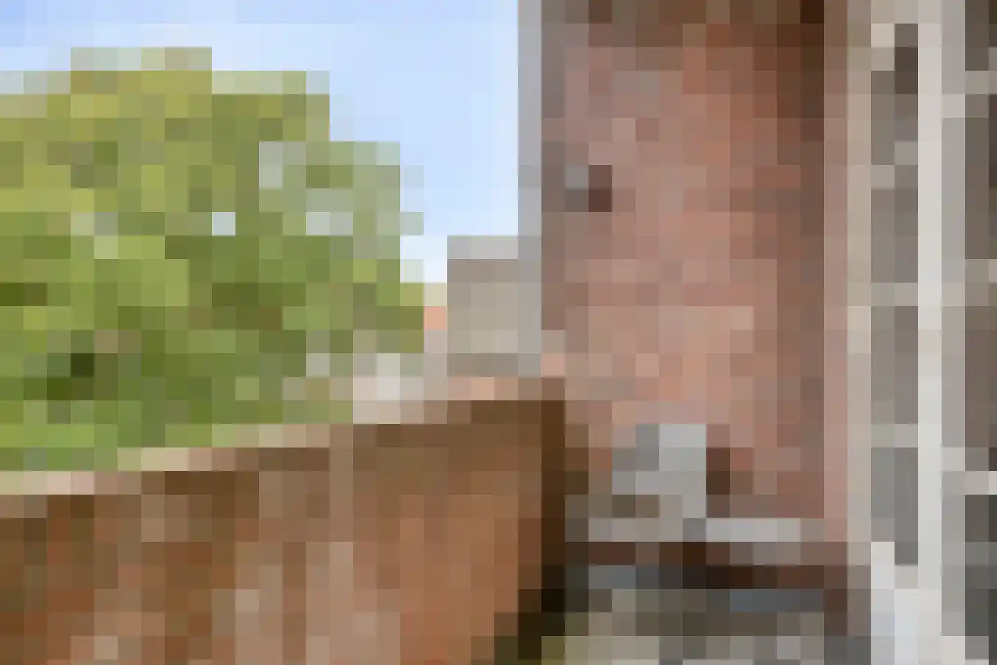 Dordtselaan 85 B 02 Rotterdam thumbnail 14