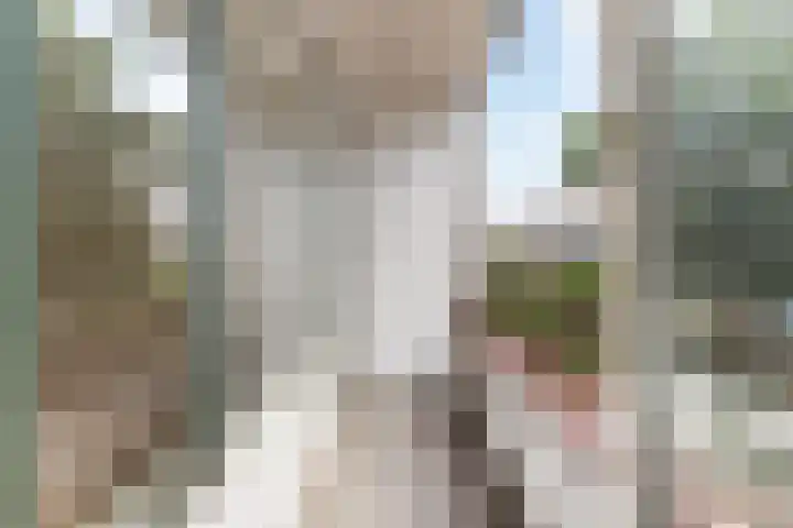 Dordtselaan 86 A Rotterdam thumbnail 23