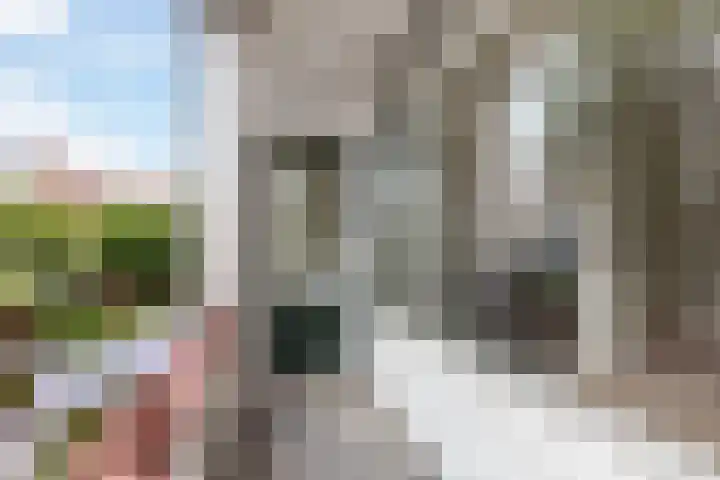 Dordtselaan 86 A Rotterdam thumbnail 24