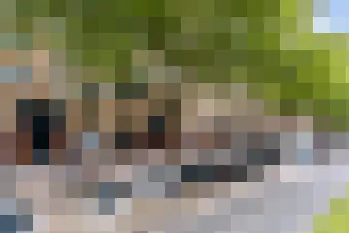 Dordtselaan 86 A Rotterdam thumbnail 26