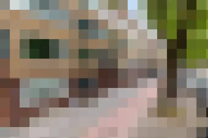 Dordtselaan 86 A Rotterdam thumbnail 5