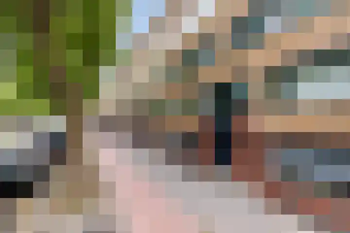 Dordtselaan 86 A Rotterdam thumbnail 6