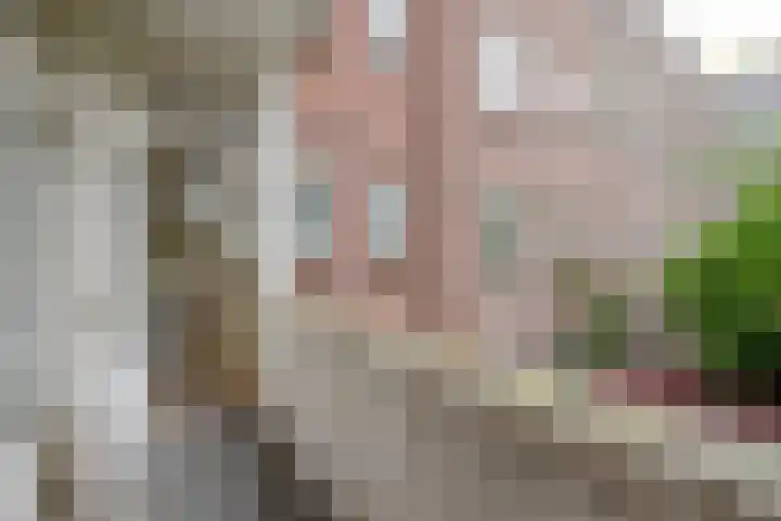 Dordtselaan 89 B 01 Rotterdam thumbnail 16