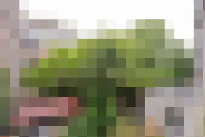Dordtselaan 89 B 01 Rotterdam thumbnail 17