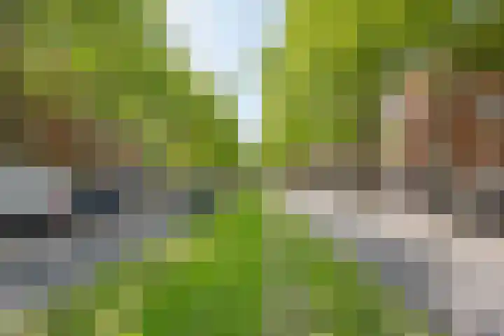 Dordtselaan 89 B 01 Rotterdam thumbnail 20