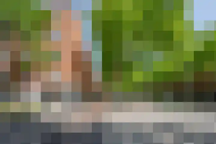 Dordtselaan 89 B 01 Rotterdam thumbnail 22