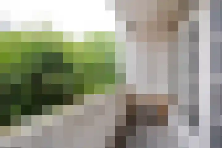 Dordtselaan 89 B 01 Rotterdam thumbnail 5