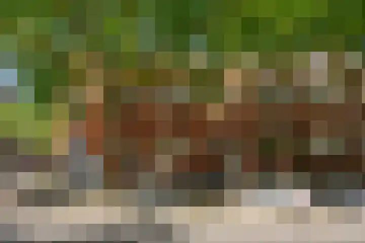Dordtselaan 89 B 01 Rotterdam thumbnail 6