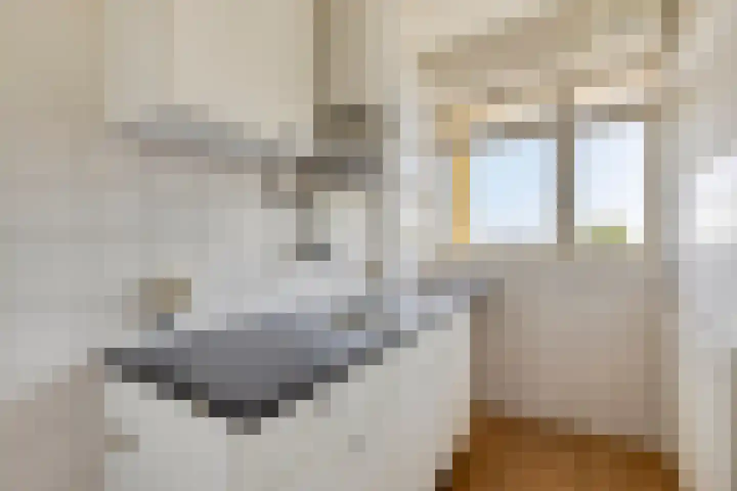 Dordtselaan 9 E Rotterdam thumbnail 11
