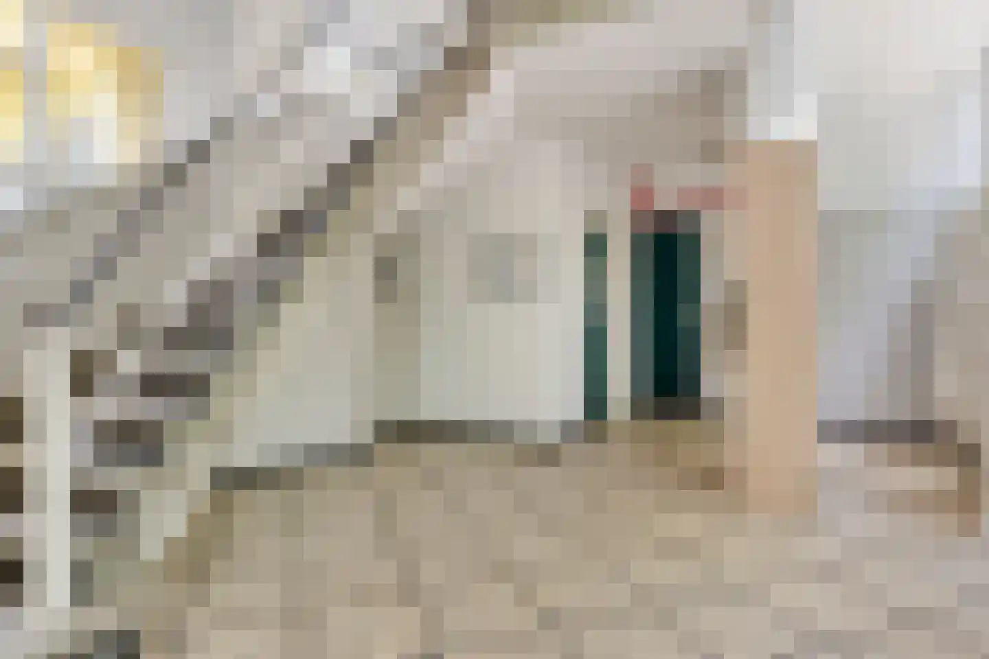 Dordtselaan 9 E Rotterdam thumbnail 22