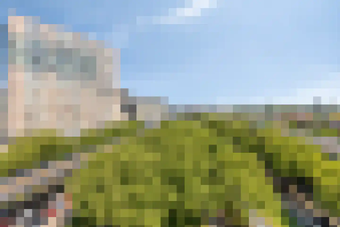 Dordtselaan 9 E Rotterdam thumbnail 24