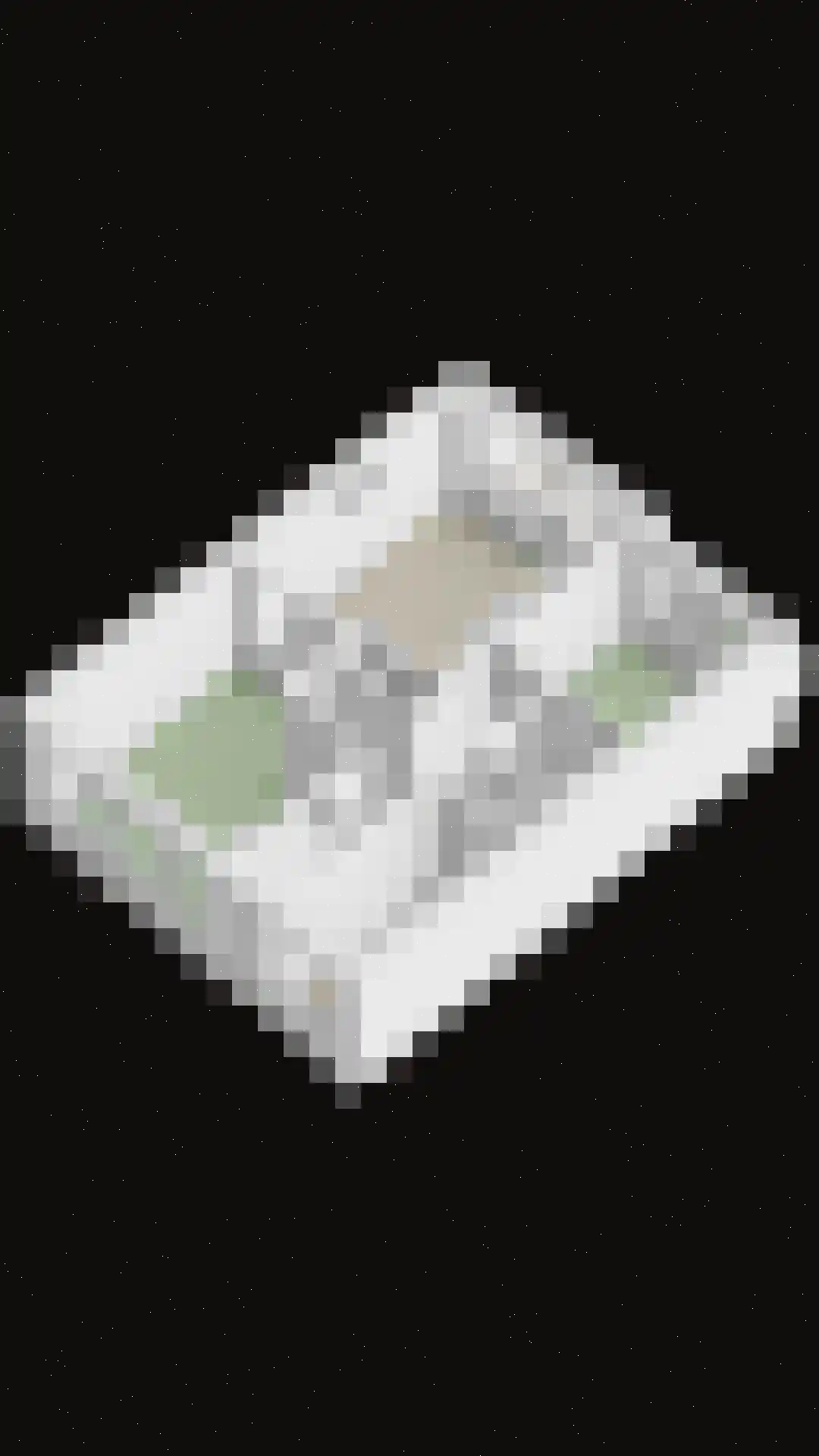 Dordtselaan 9 E Rotterdam thumbnail 31