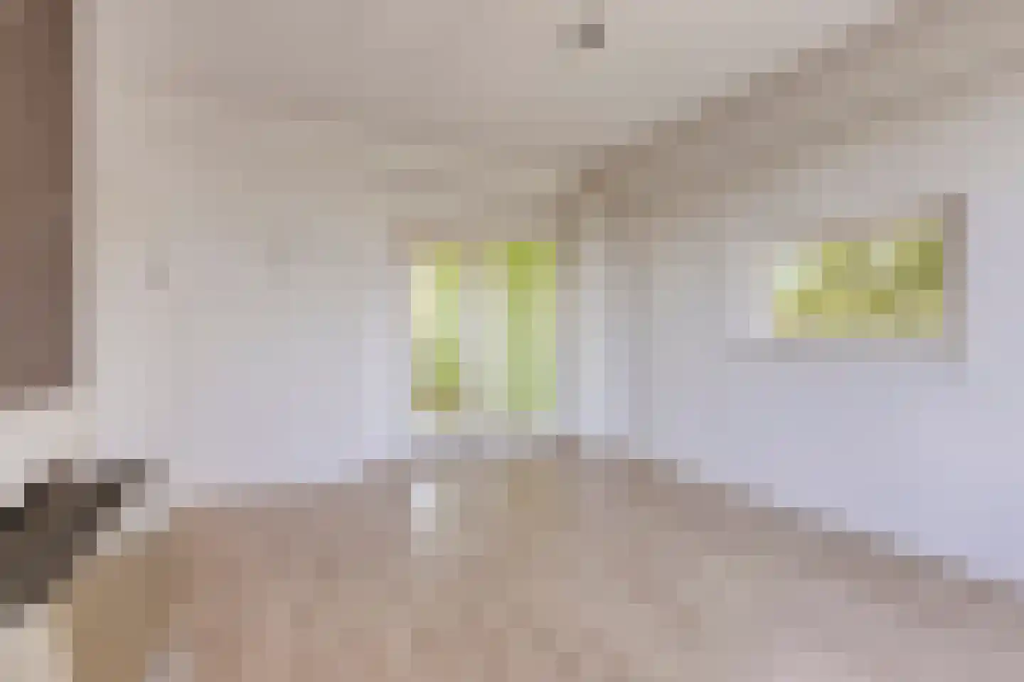 Dordtselaan 9 E Rotterdam thumbnail 4