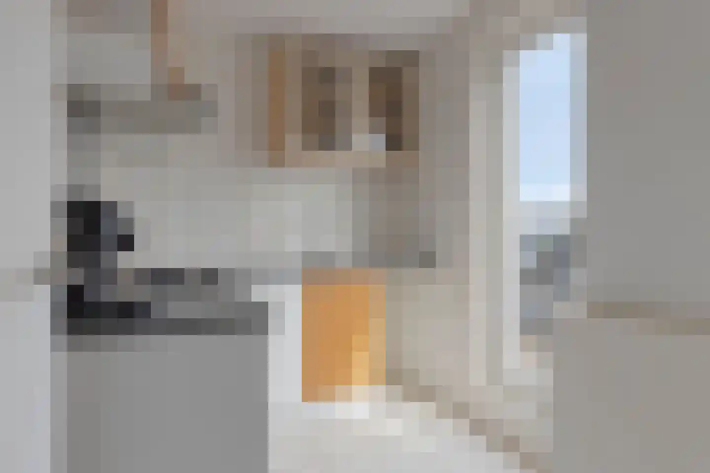 Dordtselaan 98 B Rotterdam thumbnail 14