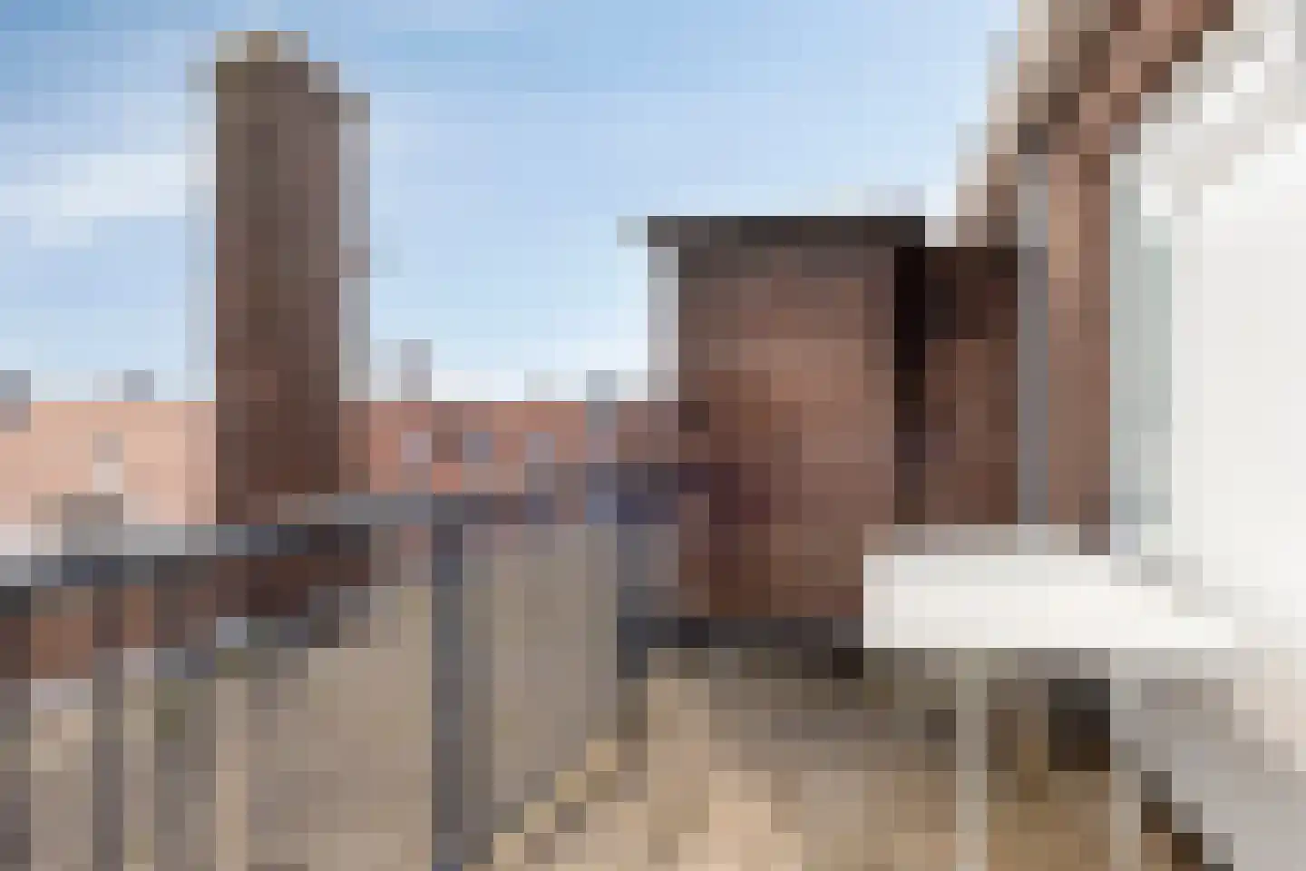 Dordtselaan 98 B Rotterdam thumbnail 15