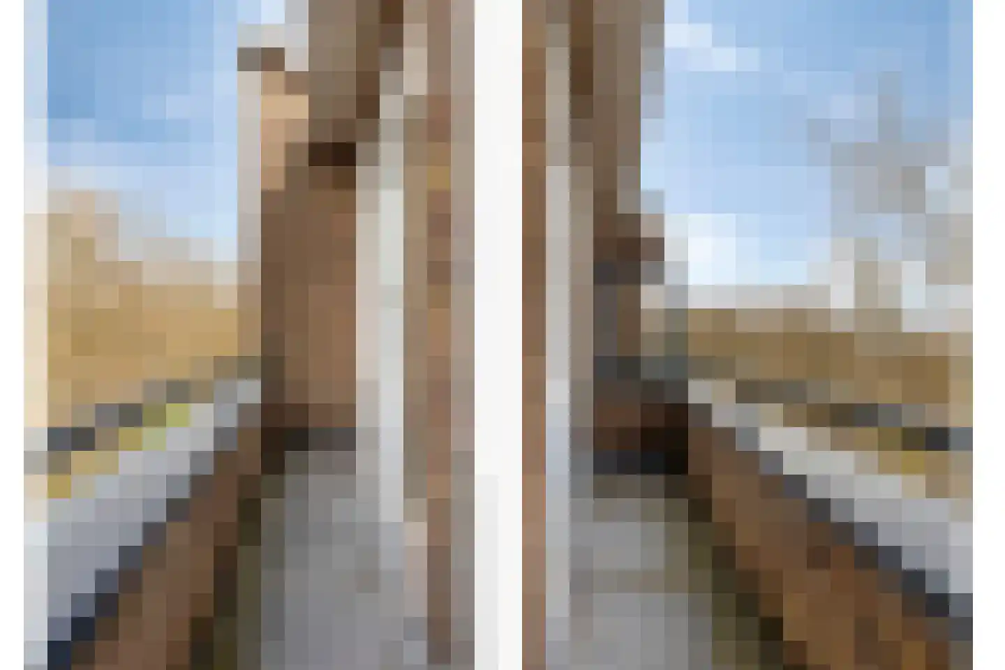 Dordtselaan 98 B Rotterdam thumbnail 17