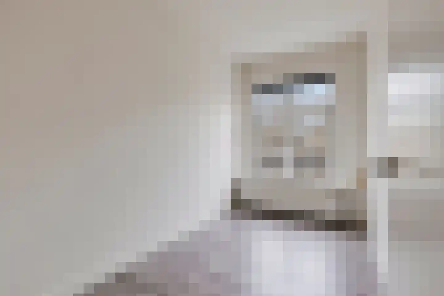 Dordtselaan 98 B Rotterdam thumbnail 4