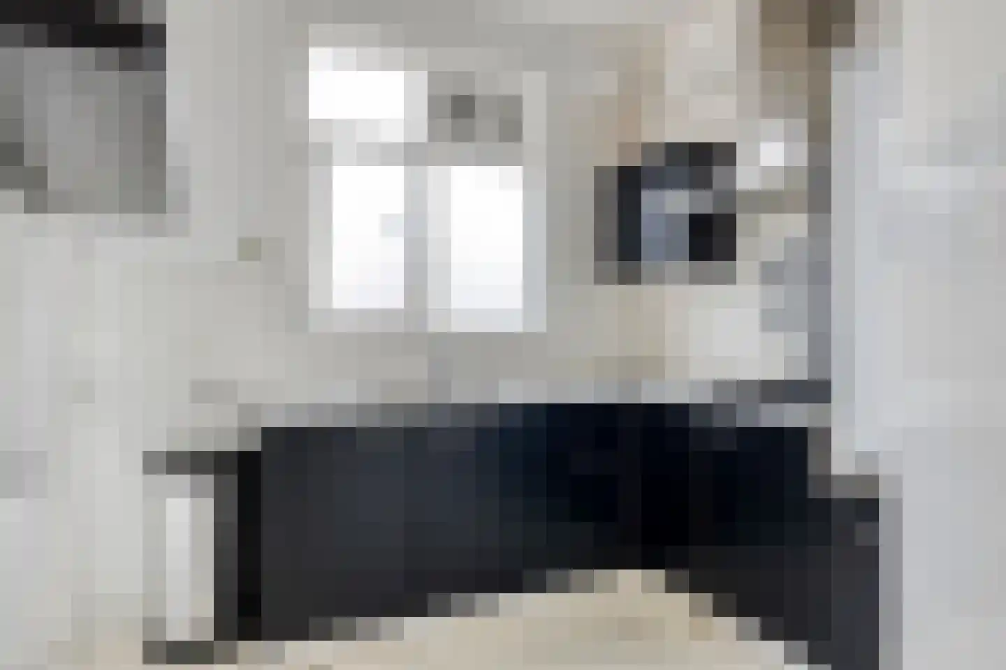 Dordtselaan 98 B Rotterdam thumbnail 5