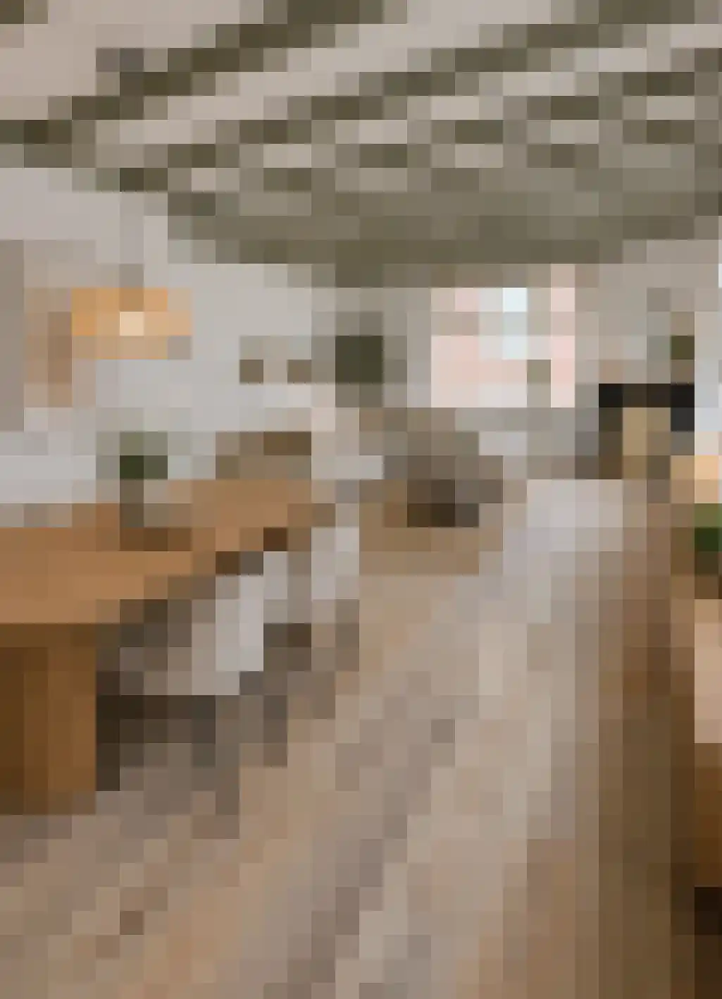 Dordtsestraat 1 a Geertruidenberg thumbnail 16