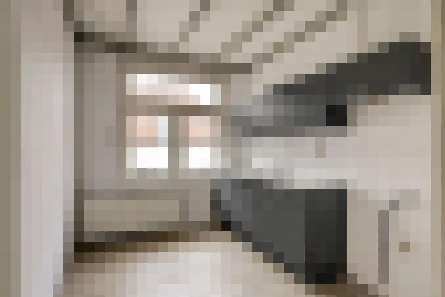 Dordtsestraat 1 a Geertruidenberg thumbnail 17