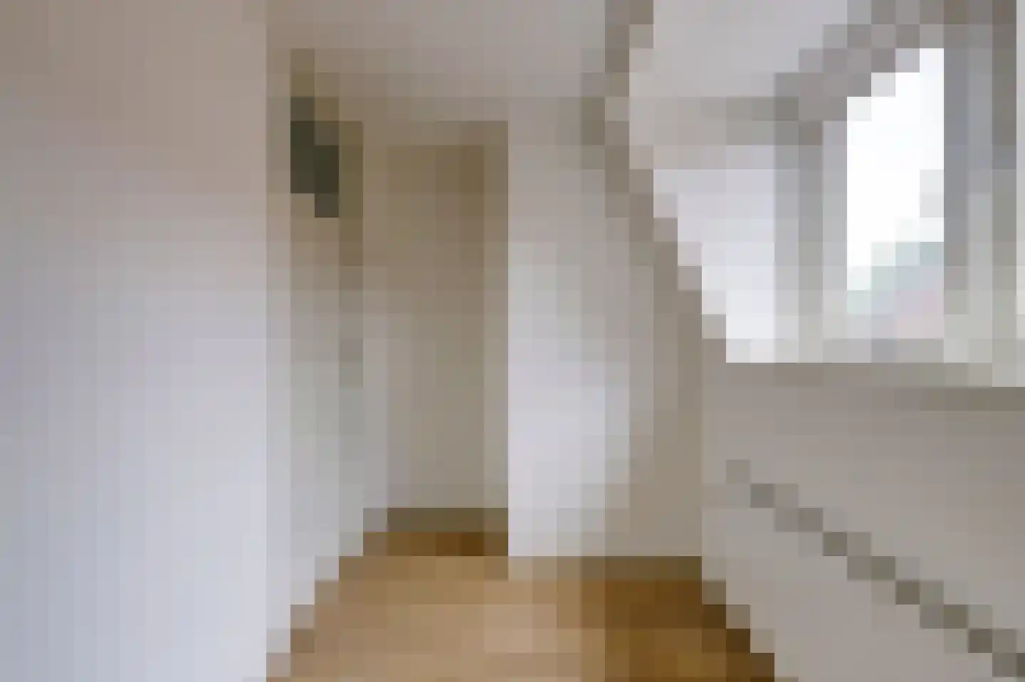 Dordtsestraat 1 a Geertruidenberg thumbnail 26