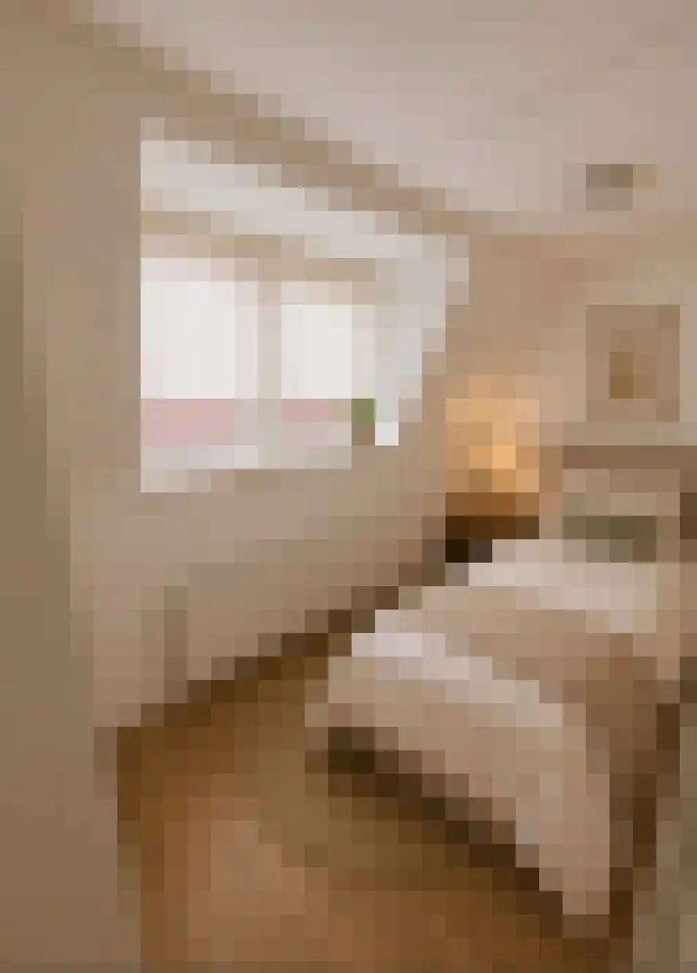 Dordtsestraat 1 a Geertruidenberg thumbnail 28