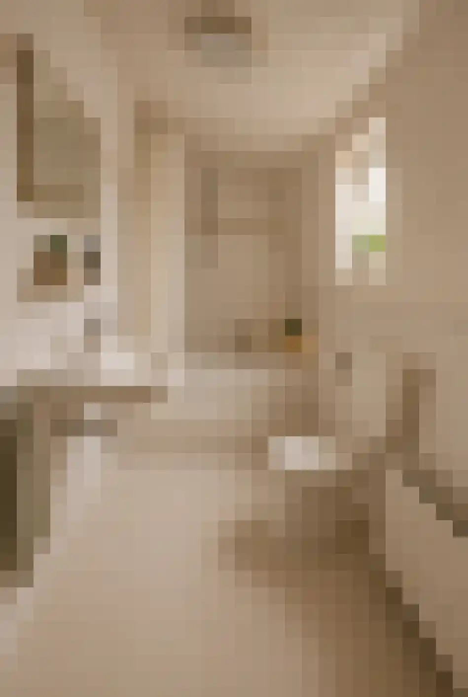 Dordtsestraat 1 a Geertruidenberg thumbnail 35