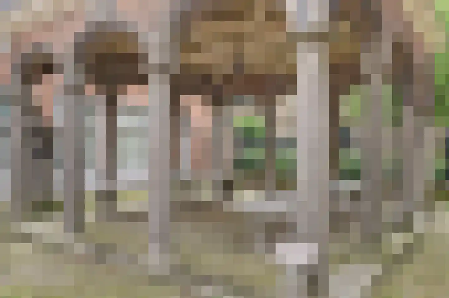 Dordtsestraat 1 a Geertruidenberg thumbnail 42
