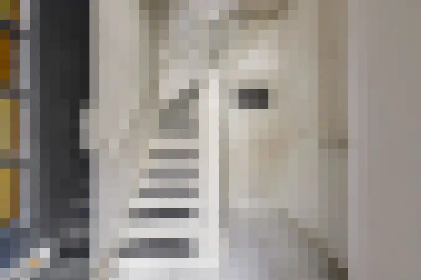 Dordtsestraat 1 a Geertruidenberg thumbnail 6